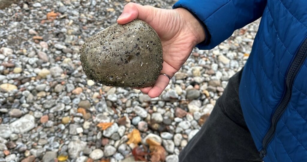 the Ajax Shoreline project employs a unique installation of a cobble boulder shoreline design