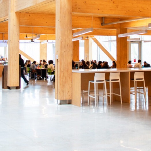 staff gather in the light-filled first floor cafeteria area of the TRCA administrative office building at 5 shoreham drive