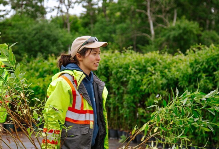 a staff member working at the TRCA Nursery