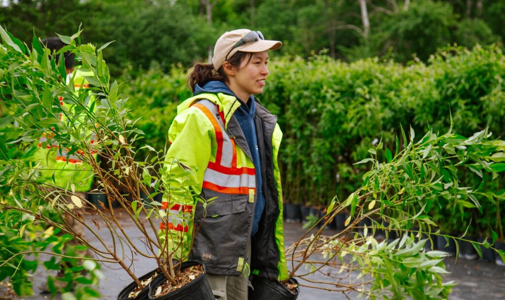 a staff member working at the TRCA Nursery