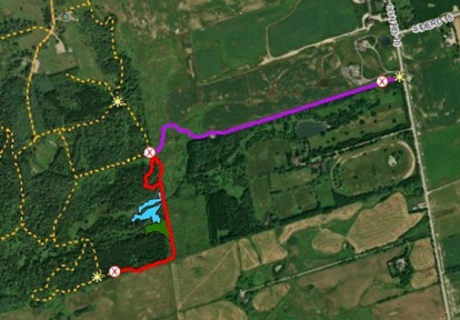 map showing trail closure within the Cold Creek Conservation Area wetland restoration project area