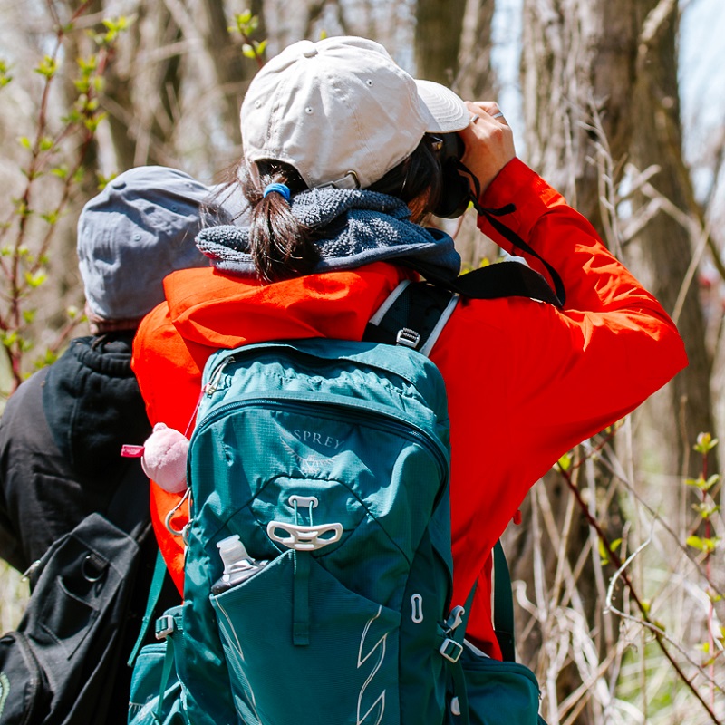 visitors to Tommy Thompson Park enjoy a bird watching expedition