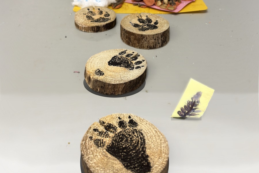 students at a design charette craft the concept for a new sensory trail at Claireville Conservation Area