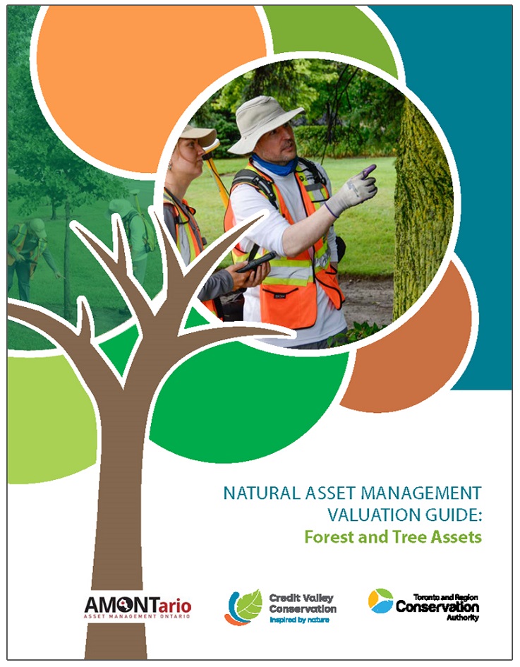 Natural Asset Management Valuation Guide - Forest and Tree Assets