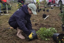 Community Stewardship Program - Toronto and Region Conservation ...