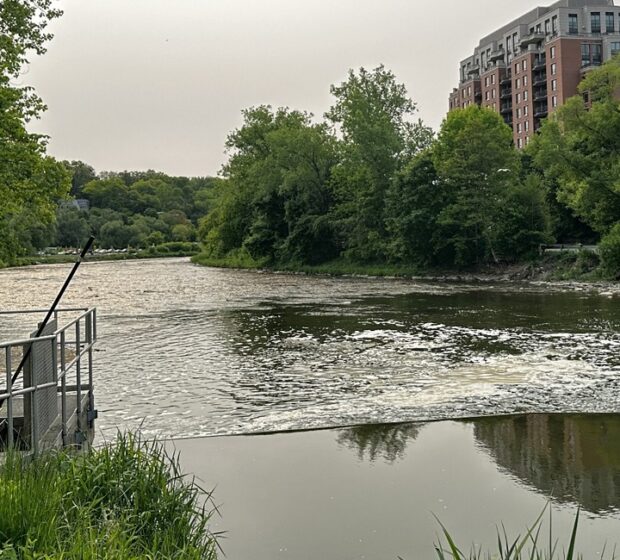 Aquatic Barriers & Fish Movement