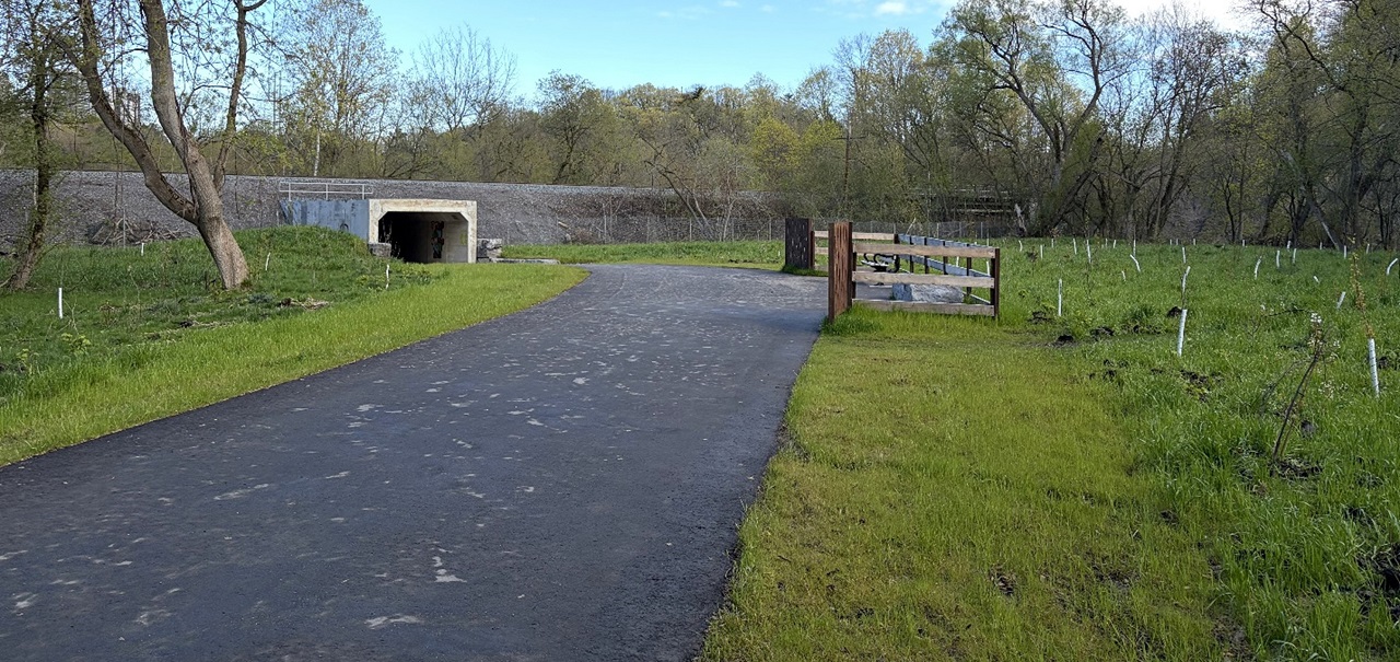 completed planting of trees and shrubs south of the pedestrian and cycling tunnel on the East Don Trail
