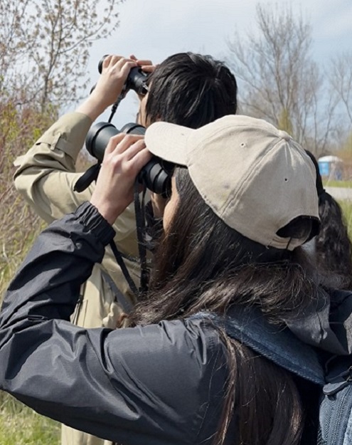 visitors use binoculars to scan for birds during the TRCA Spring Bird Festival at Tommy Thompson Park