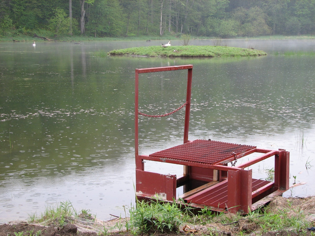 The view from the water control structure in Kortright Wetland looking northwest - photo taken in 2010