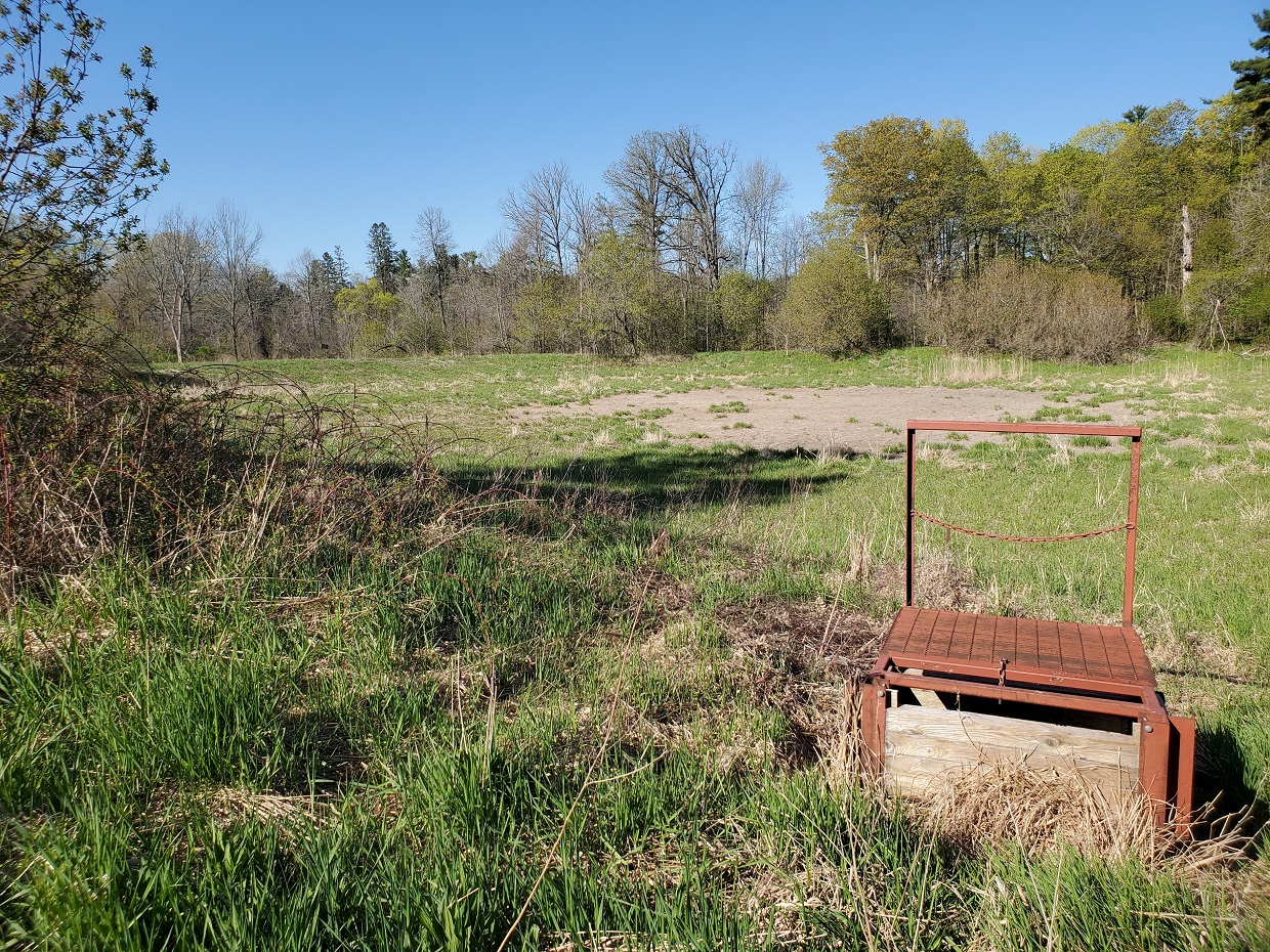 The view from the water control structure in Kortright Wetland looking southwest - taken in 2021