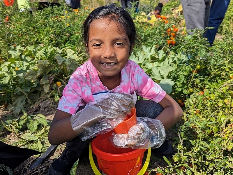 Malton SNAP neighbourhood residents take part in urban agriculture skills training