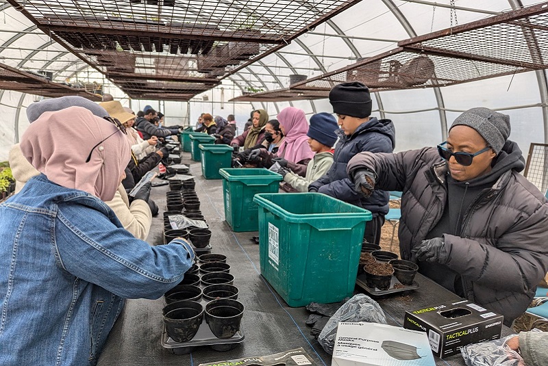 Malton SNAP neighbourhood residents take part in urban agriculture skills training