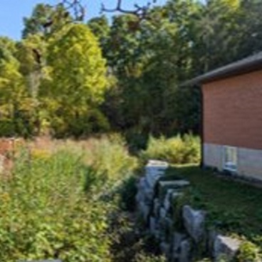 Jaffarys Creek after restoration