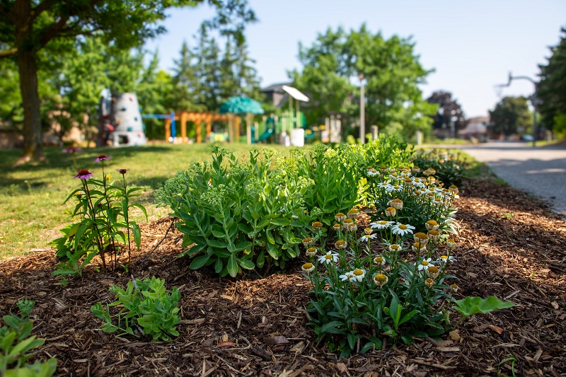 the revitalized Heritage Hills Parkette in West Bolton