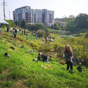 student volunteers plant native trees and shrubs at Jaffarys Creek Pond
