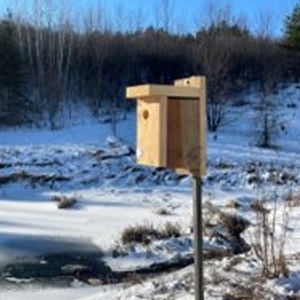 newly installed bird box at Jaffarys Creek Pond