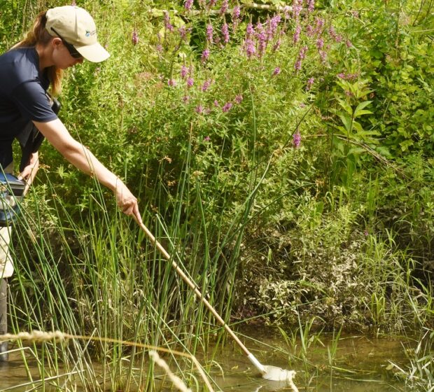 West Nile Virus Risk Assessment