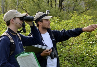 TRCA biologists conduct terrestrial monitoring of birds and other native wildlife