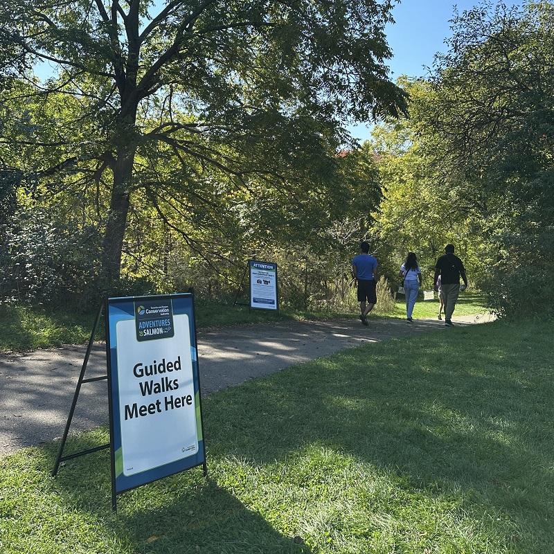 community members take part in a guided walk at the TRCA Adventures of Salmon event