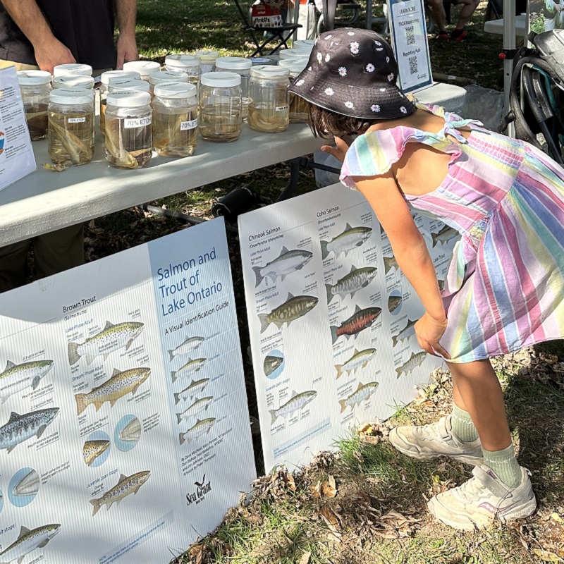 a community member visits an interactive education station at the TRCA Adventures of Salmon event