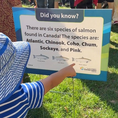 community members take part in a guided walk at the TRCA Adventures of Salmon event