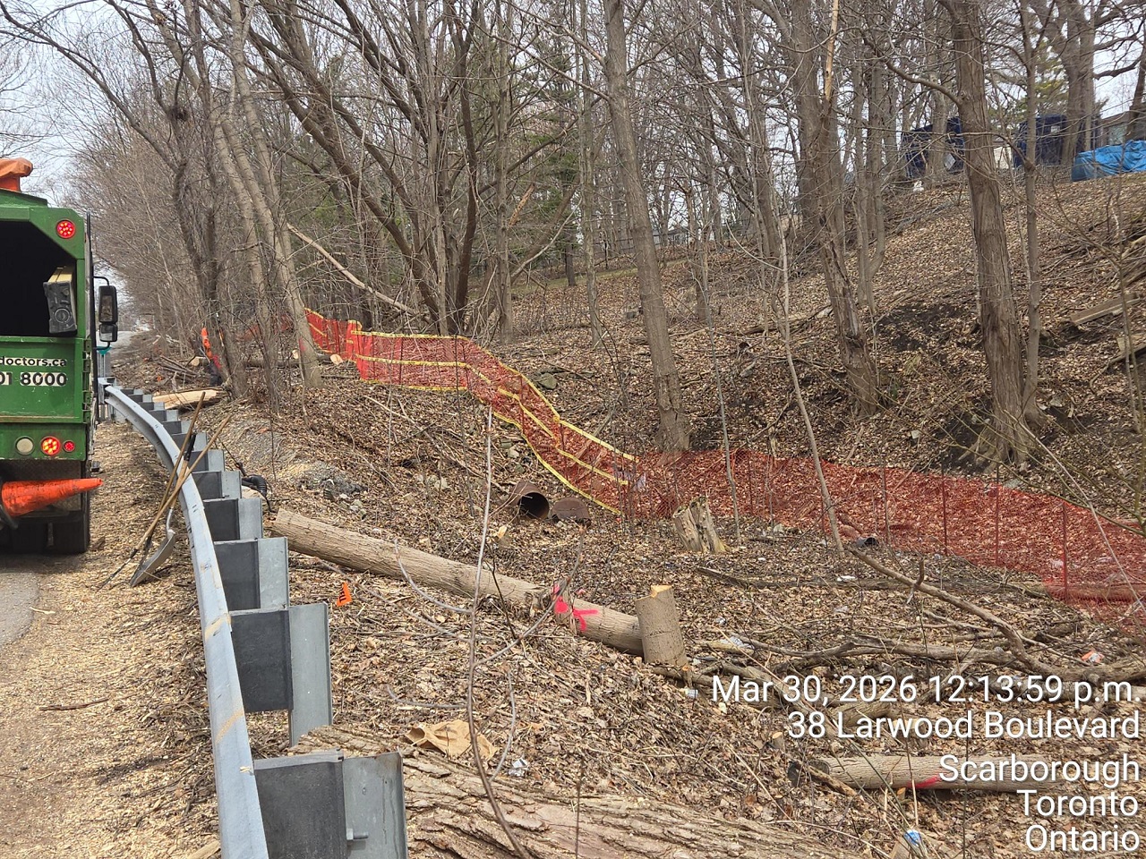 tree removals for the Brimley Road South multi-use trail project take place in March 2026
