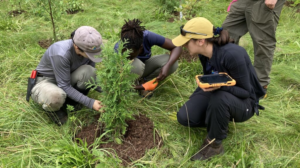 TRCA community stewardship volunteers take part in a tree and shrub planting event
