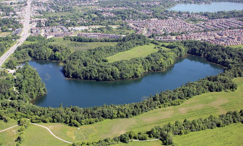 an aerial view of a lake surrounded by parkland and suburban housing
