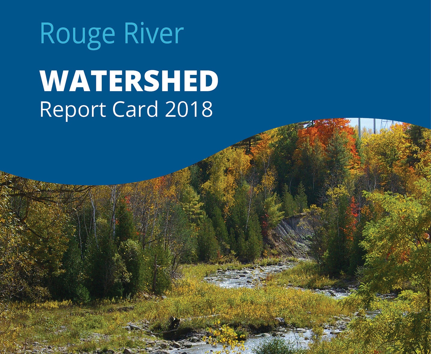 Rouge River Watershed report card 2018