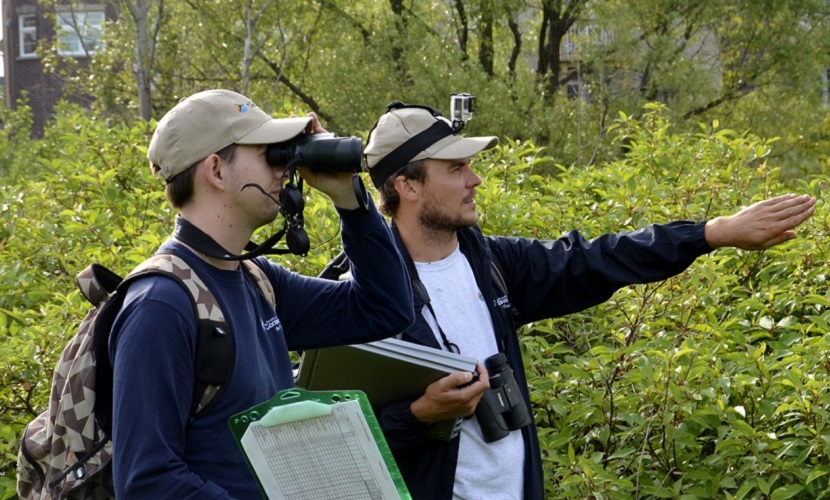 TRCA biologists conduct terrestrial habitat monitoring in the field