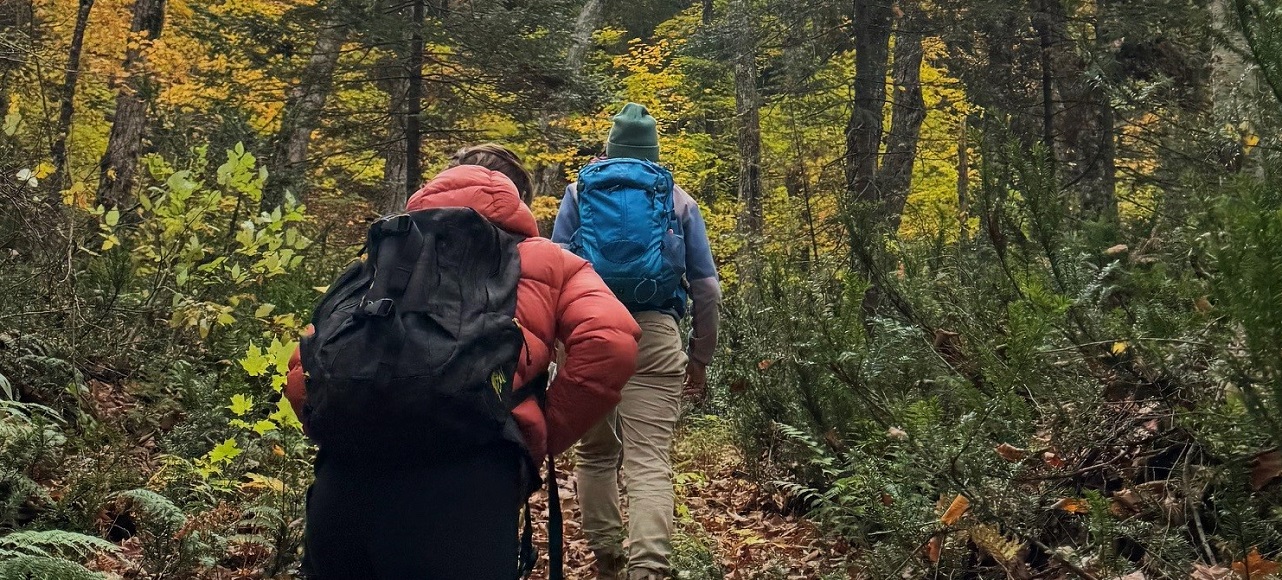 hikers explore a forest trail on an autumn day at Claremont Conservation Area