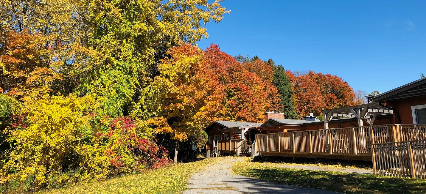 a view of the panabode lodge at Claremont Nature Centre on an autumn day