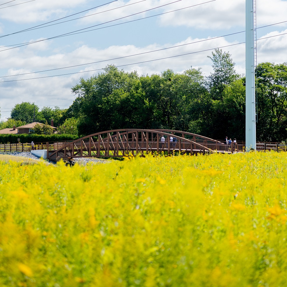 a pedestrian-cyclist bridge over a tributary of Highland Creek forms part of section 3 of The Meadoway