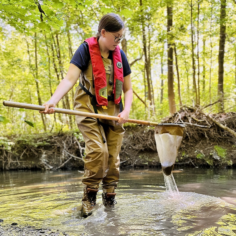 TRCA staff conduct benthos monitoring in the field