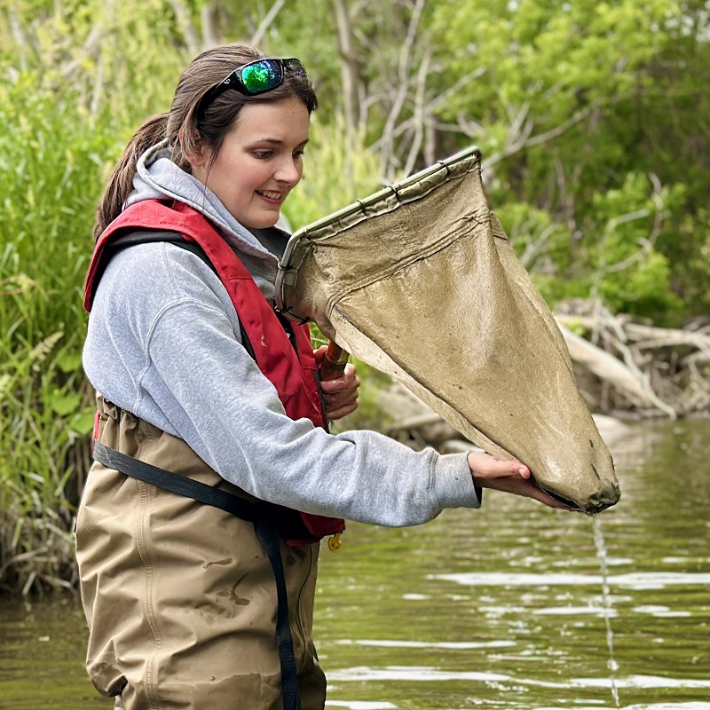 TRCA staff conduct benthos monitoring in the field
