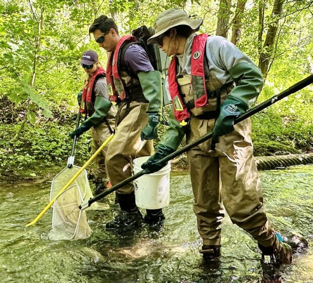 Fish Habitat and Communities