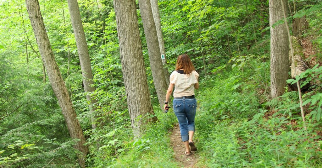 a hiker explores the forest at Glen Haffy Conservation Park
