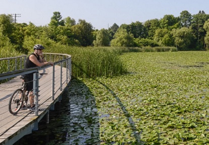 Rouge River Watershed