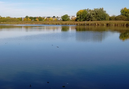 Carruthers Creek Watershed