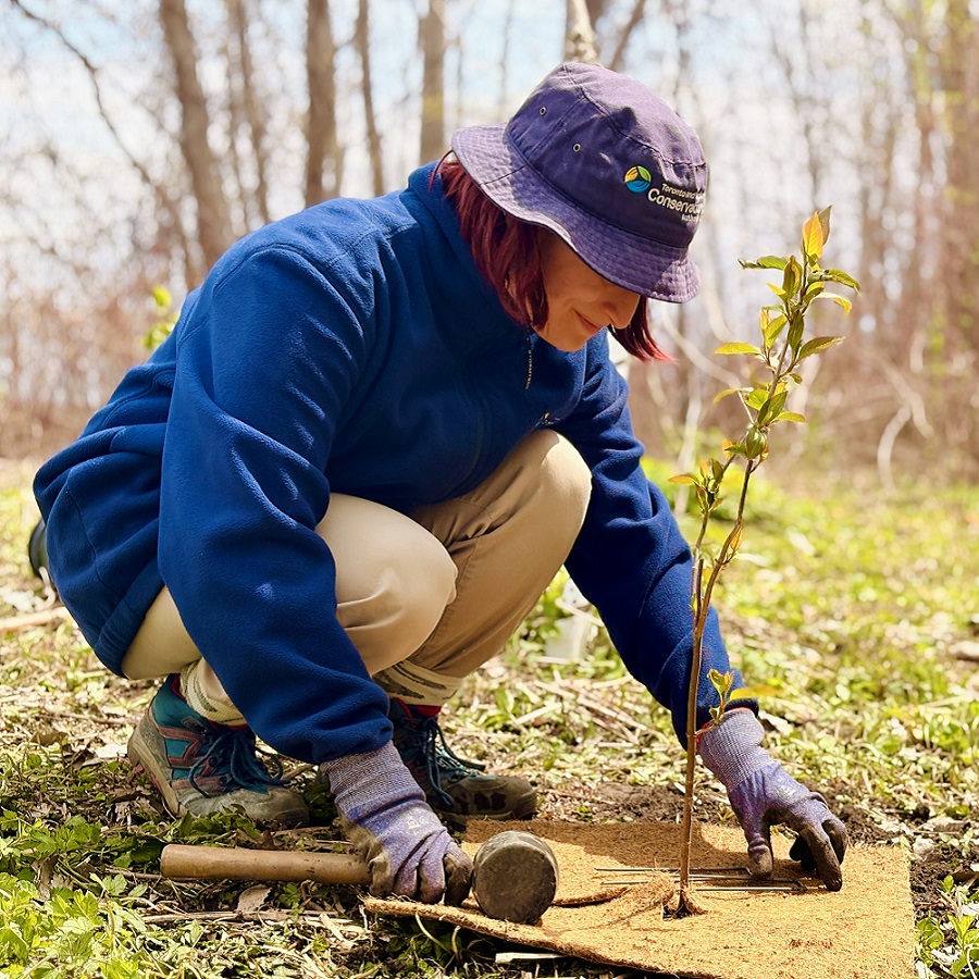 a tree planting station  at the TRCA spring bird festival