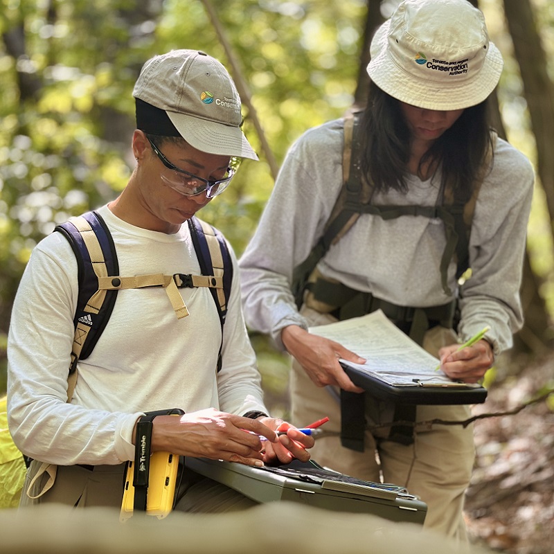 TRCA biologists conduct a terrestrial inventory at Oak Ridges Corridor Conservation Reserve