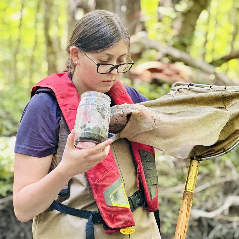 a TRCA biologist collects benthic macroinvertebrates from a local stream