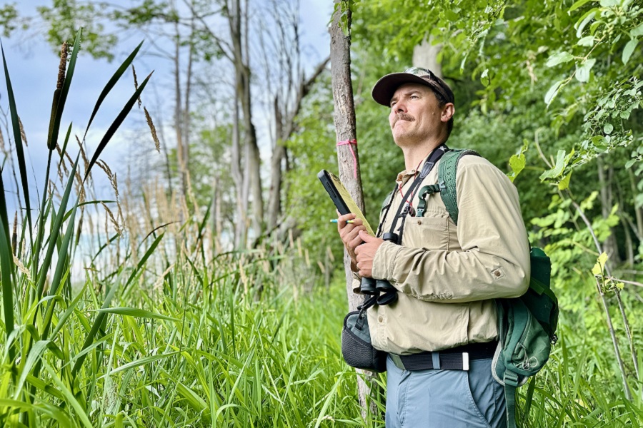 a TRCA biologist conducts bird monitoring in the field
