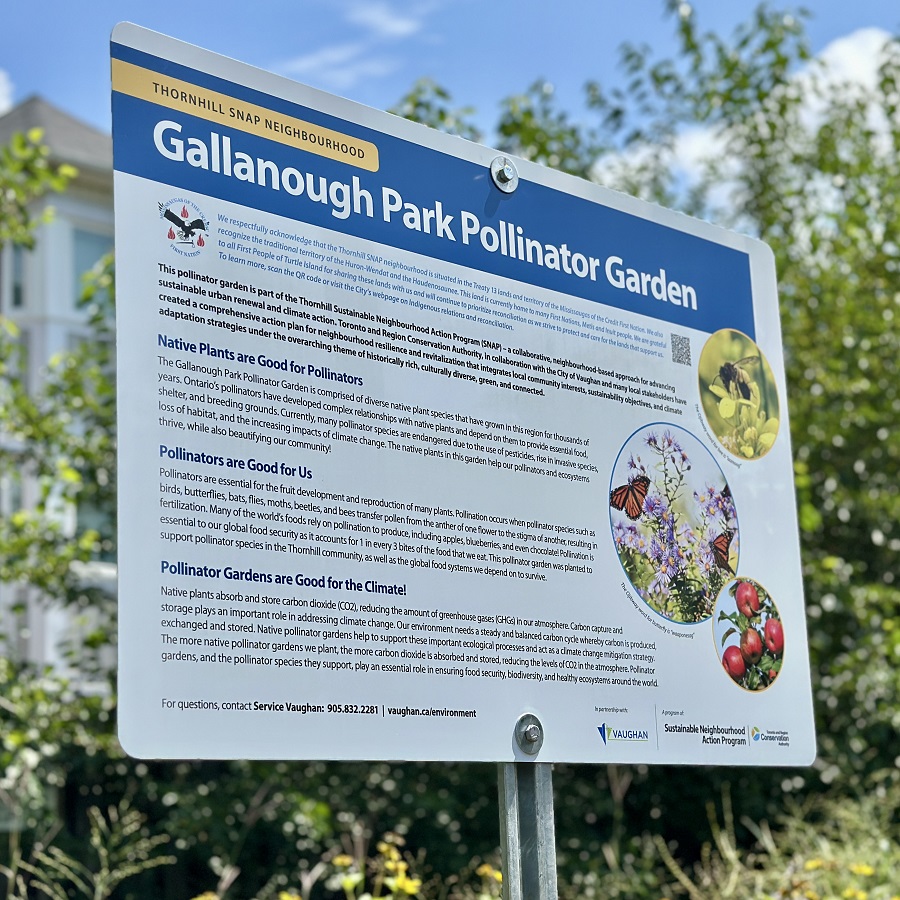 interpretive sign at the Gallanough Park pollinator garden