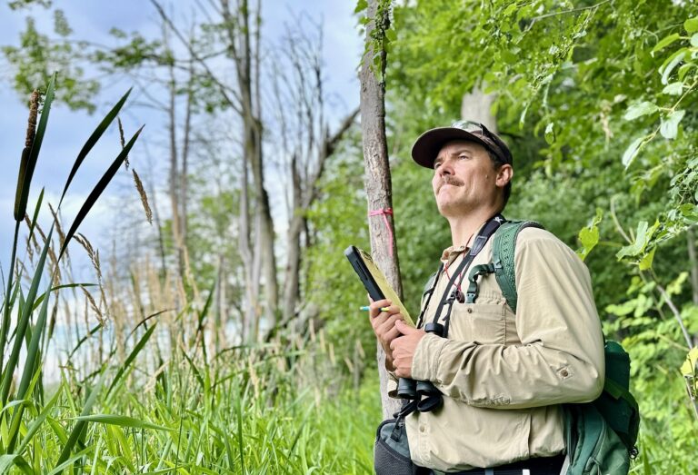 a TRCA biologist conducts bird monitoring in the field