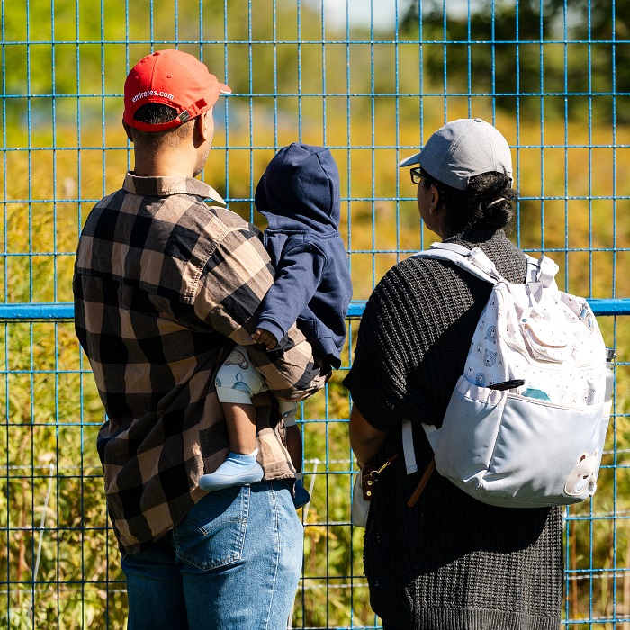 a young family watches goats and sheep grazing in The meadoway
