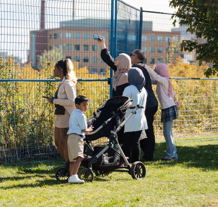 community members watch goats and sheep grazing in The meadoway