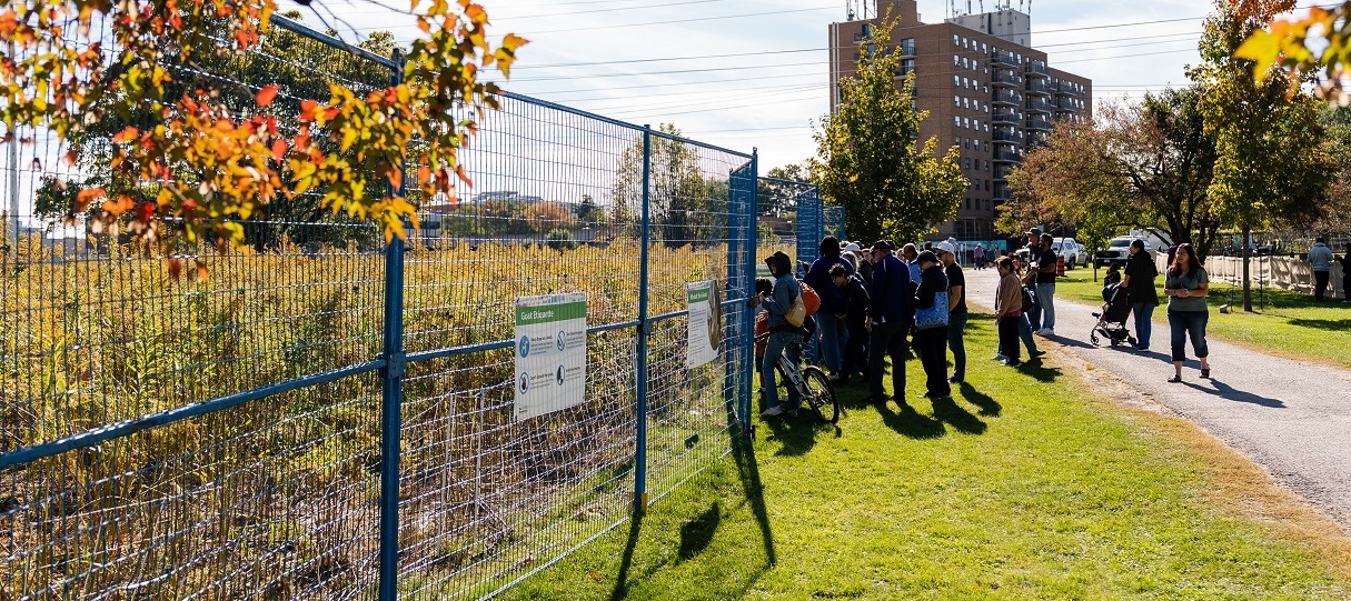 community members visit the Graze the Meadoway project site to watch the goats and sheep in action