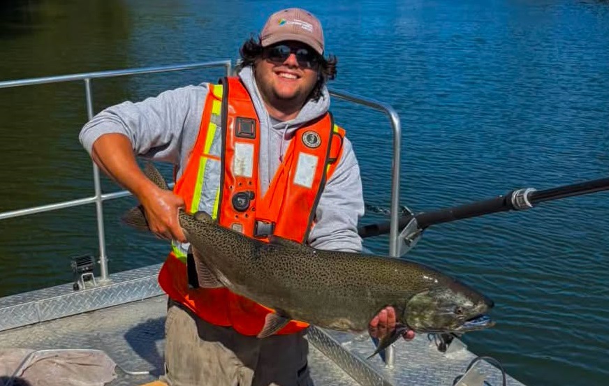 the TRCA Adventures of Salmon event takes place on Sunday October 4 2027
