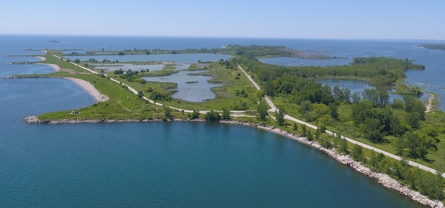 Aerial view of Tommy Thompson Park.